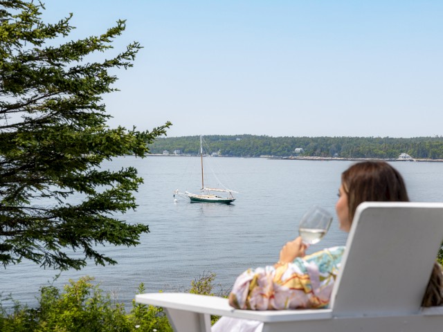 A person relaxes in a chair by a lake, holding a glass, with a sailboat on the water and a tree nearby under a clear sky.