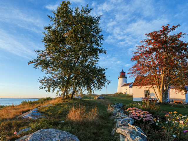 A scenic coastal view features a lighthouse, trees, greenery, and a house. The scene is calm with a clear blue sky, colorful flowers, and ocean.