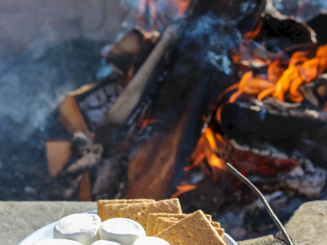 The image shows a campfire with a plate of marshmallows, graham crackers, and chocolate ready to make s'mores, placed on a stone surface.