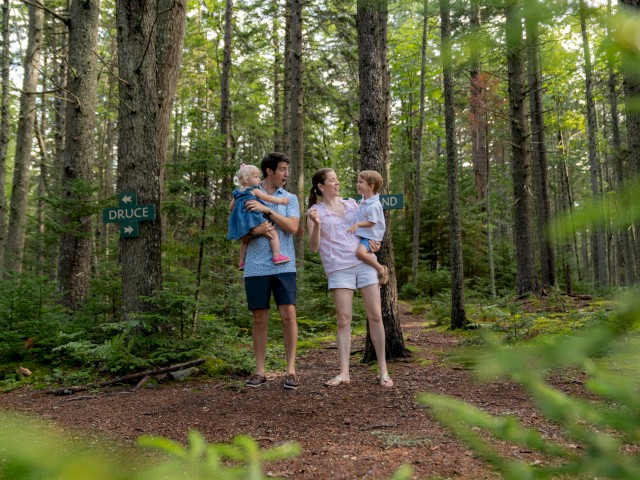 A family of four walks through a forest, with the parents holding hands and each carrying a child. There are signs reading 