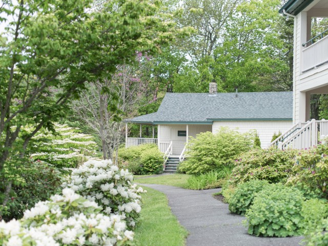 A serene garden scene with a pathway, surrounded by greenery and blooming flowers, leading to a charming house.