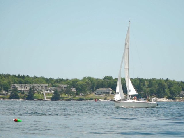 A sailboat is on calm waters near a coastal area with trees and buildings in the background, and a small buoy is floating in the foreground.