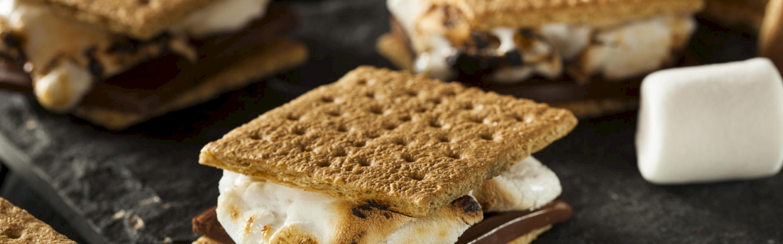 The image shows delicious s'mores made with toasted marshmallows, chocolate, and graham crackers, alongside a single marshmallow on the side.