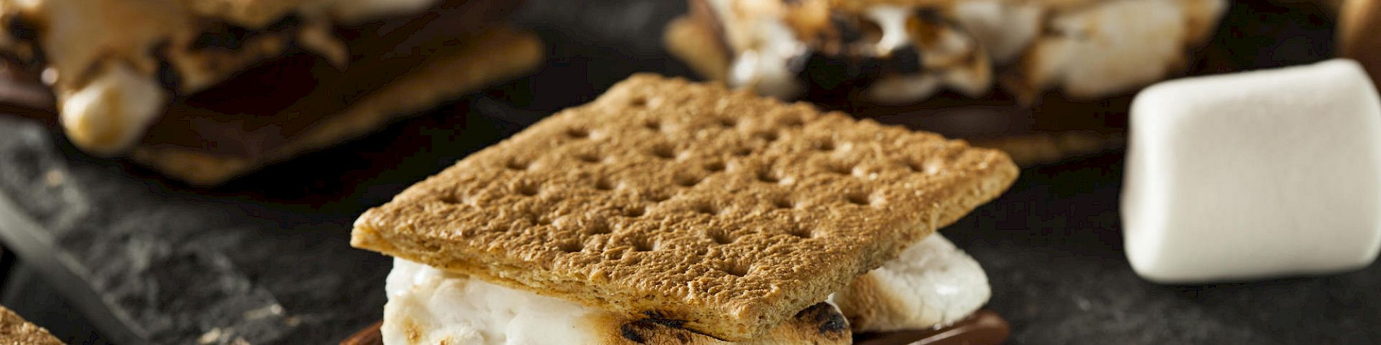 The image shows delicious s'mores made with toasted marshmallows, chocolate, and graham crackers, alongside a single marshmallow on the side.