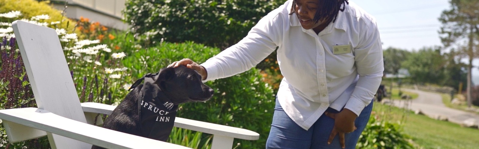 A person is petting a seated black dog while smiling outdoors in a garden setting with greenery and flowers in the background.