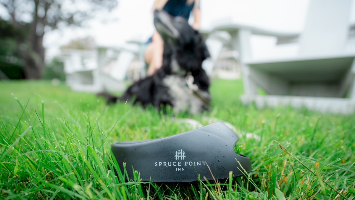 A branded beer koozie on grass, with a person and a dog in the blurred background, near white outdoor furniture.