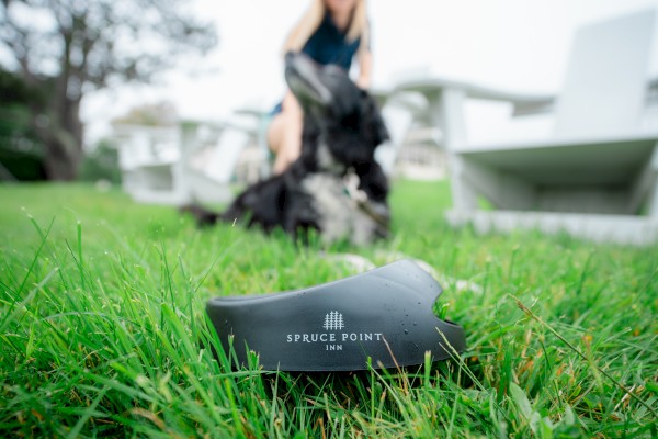 A Spruce Point Inn object is on the grass with a blurred dog and person in the background, near outdoor seating.