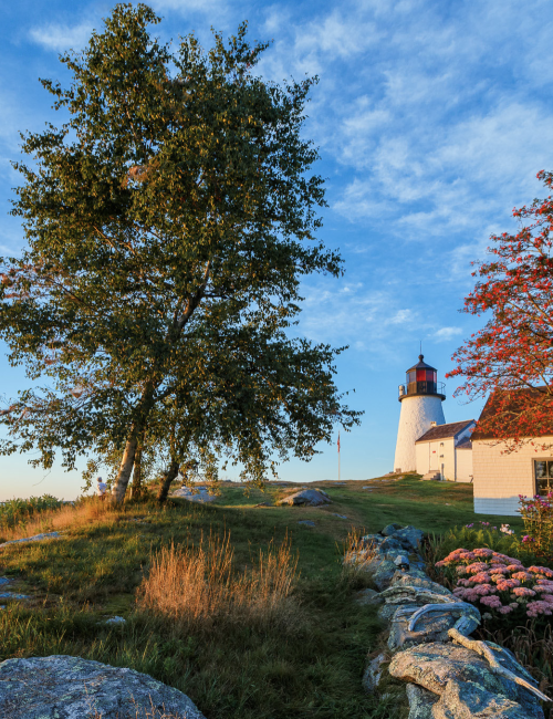 Lighthouse by the sea with a tree and flowers, under a clear blue sky. The scene has vibrant colors and a peaceful atmosphere.