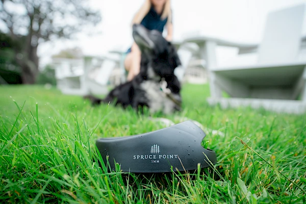 A black object with "Spruce Point Inn" lies on grass, with an out-of-focus person and dog playing in the background.
