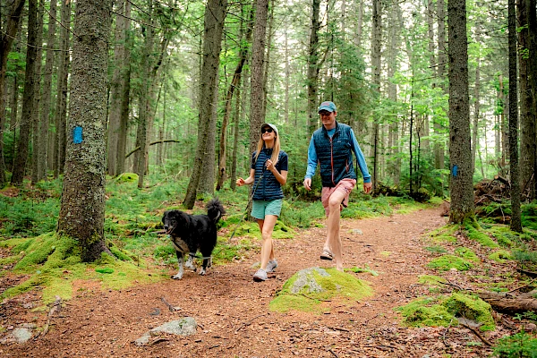 A couple with a dog hikes on a forest trail, surrounded by trees and greenery.