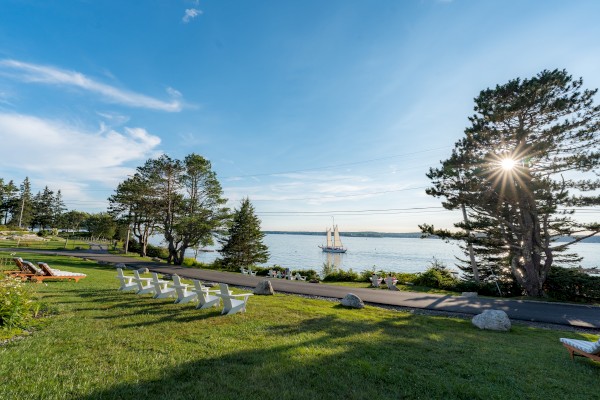 A sunny lakeside lawn with white chairs, a stone path, and pine trees; sailboats on calm water and a bright star-like sun peeking through branches.